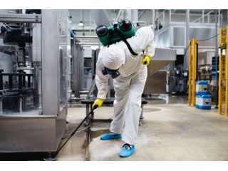 affordable-and-professional-abbotsford-pest-small-0