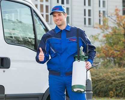 comprehensive-pest-control-in-langley-township