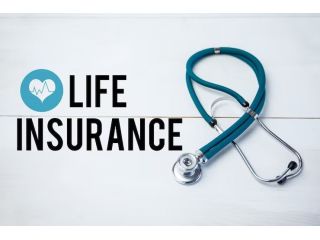 compare-life-insurance-alberta-national-protection-plan-small-0