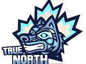 true-north-pressure-washing-nanaimo