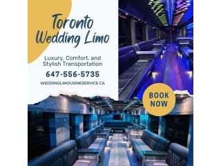 toronto-wedding-limo-small-0