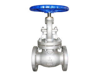 globe-valve-manufacturer-for-industrial-flow-control-cwt-valve-small-0
