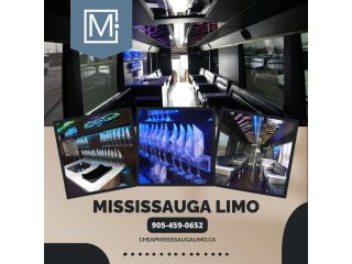 mississauga-party-bus-small-0