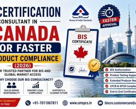 bis-consultant-in-canada