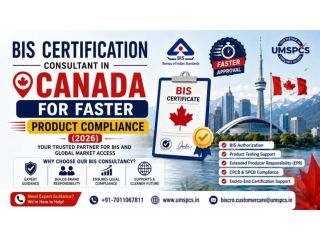 bis-consultant-in-canada-small-0
