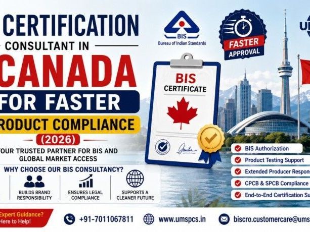bis-consultant-in-canada