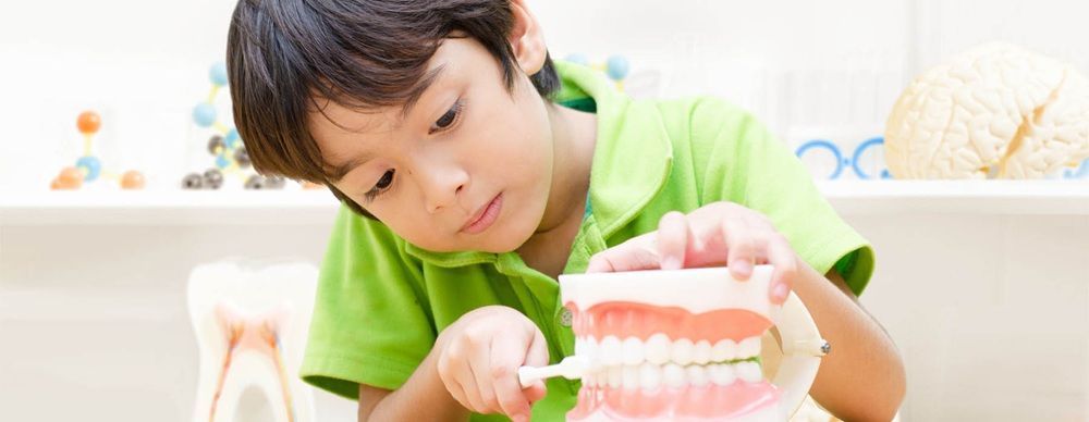 pediatric-dental-specialists-in-toronto-gentle-kids-dentistry-big-0