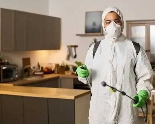 pest-control-okotoks
