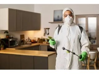 pest-control-okotoks-small-0
