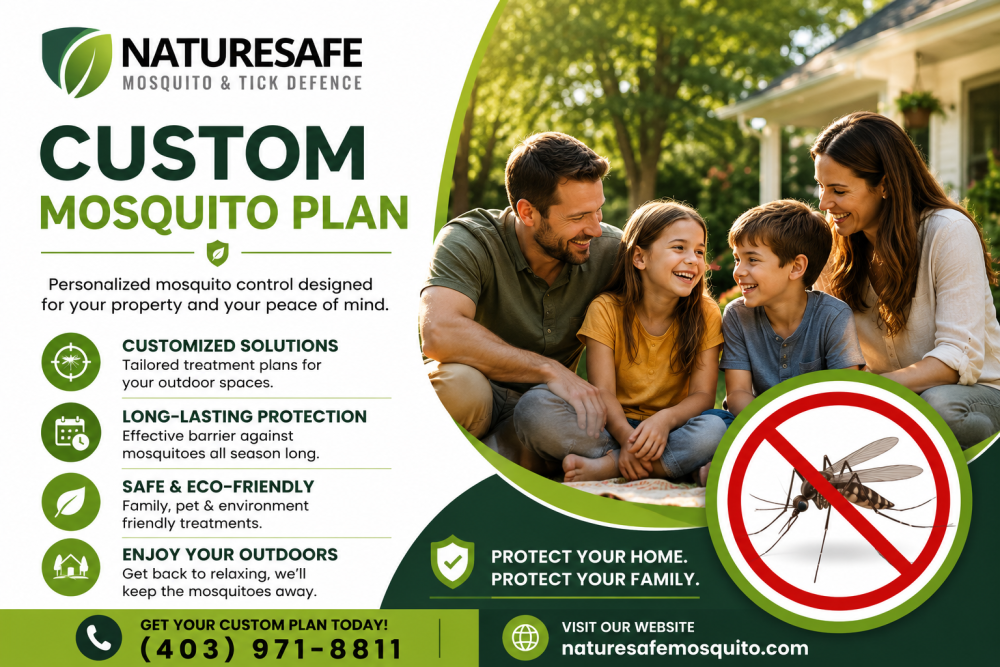 need-a-custom-mosquito-plan-for-your-property-big-0