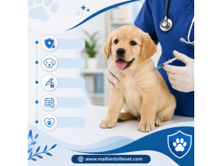 puppy-vaccination-schedule-for-healthy-growth-small-0
