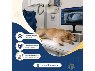 diagnostic-veterinary-care-in-delta-bc-small-0