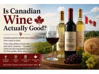 is-canadian-wine-actually-good-small-0