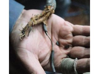cloth-wiring-replacement-in-toronto-replace-cloth-wiring-safely-small-0