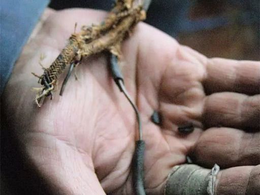cloth-wiring-replacement-in-toronto-replace-cloth-wiring-safely