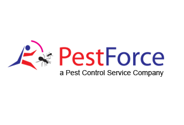 calgary-pest-control-for-homes-and-businesses-big-0