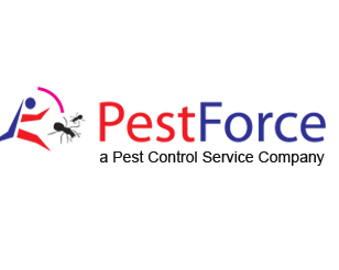 calgary-pest-control-for-homes-and-businesses