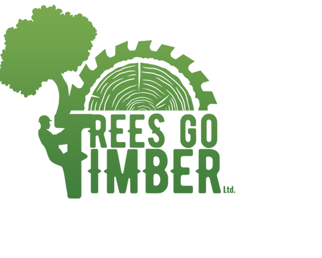 trusted-arborists-in-beaumont-for-healthy-trees