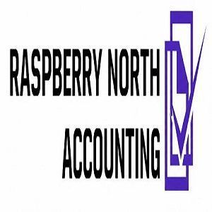 tax-accountant-raspberry-north-accounting-big-0