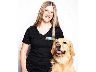 why-choosing-a-professional-dog-trainer-windsor-small-0