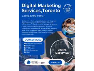 digital-marketing-company-toronto-seoppc-experts-small-0