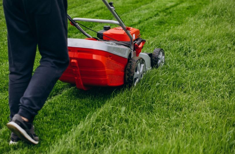 healthy-trees-greener-lawns-better-curb-appeal-big-0