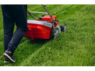 healthy-trees-greener-lawns-better-curb-appeal-small-0