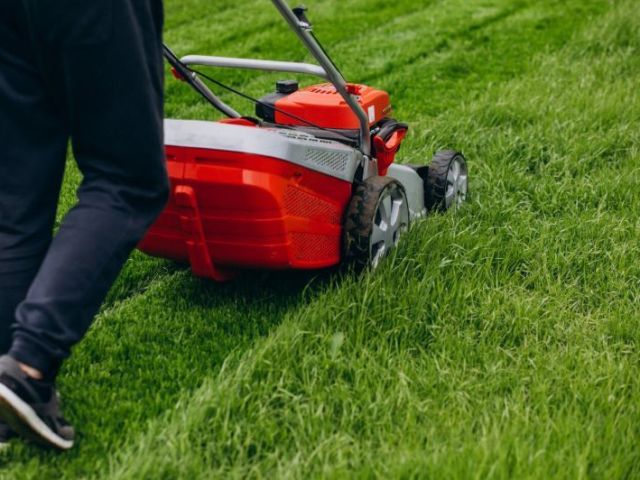 healthy-trees-greener-lawns-better-curb-appeal