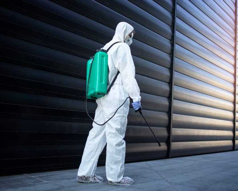 need-pest-control-call-expert-extermination-experts