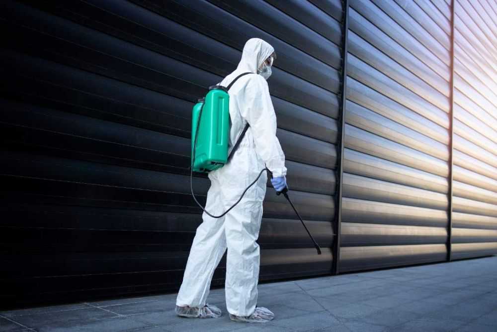 need-pest-control-call-expert-extermination-experts-big-0