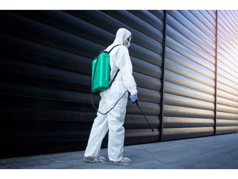 need-pest-control-call-expert-extermination-experts-small-0