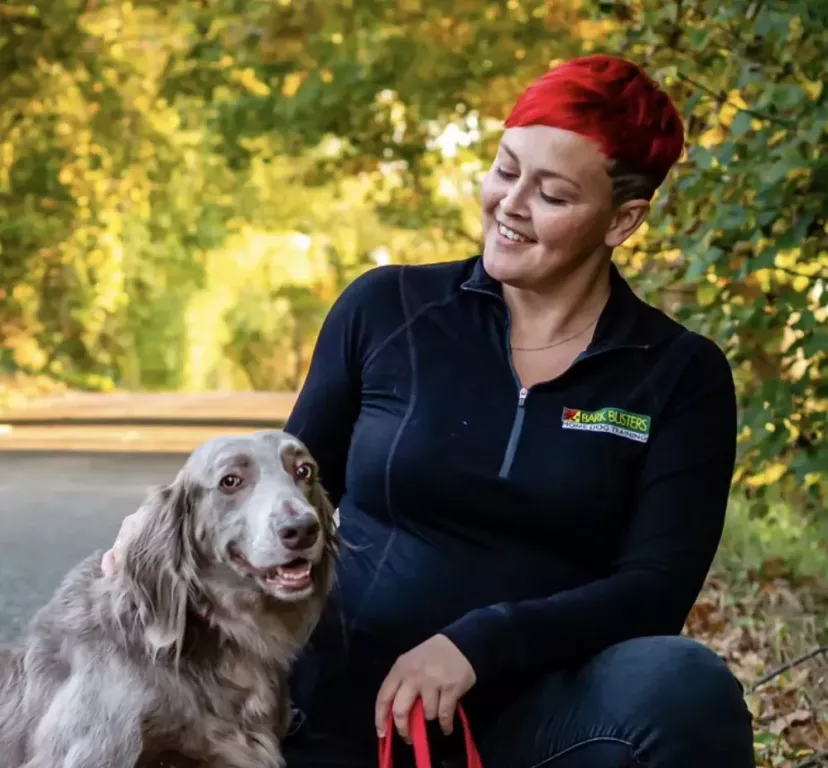 why-choose-bark-busters-hamilton-for-dog-training-big-0