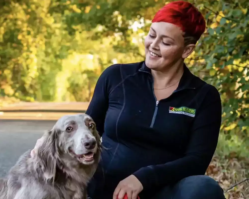 why-choose-bark-busters-hamilton-for-dog-training