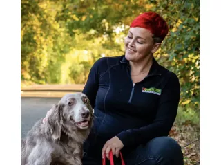 why-choose-bark-busters-hamilton-for-dog-training-small-0