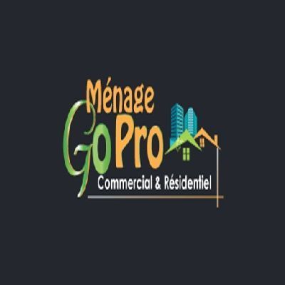 go-pro-cleaning-big-0