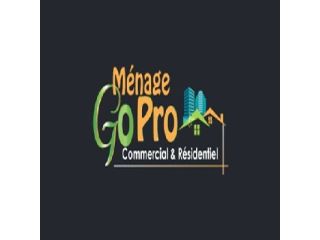 go-pro-cleaning-small-0