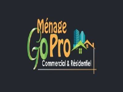 go-pro-cleaning