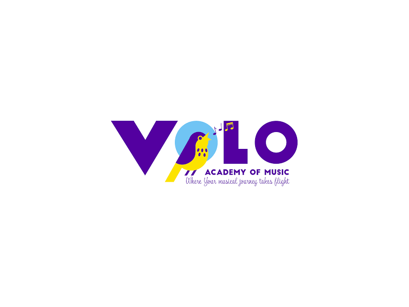 volo-academy-of-music-where-your-musical-journey-takes-flight-small-0