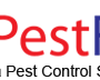 calgary-wasp-nest-removal-for-safe-pest-protection