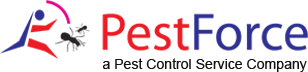 calgary-wasp-nest-removal-for-safe-pest-protection-big-0
