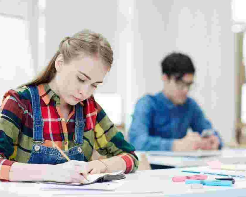 online-delf-exam-classes-a1-to-b2-levels
