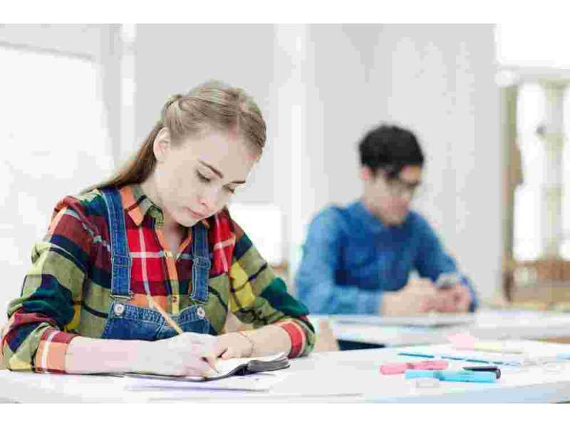 online-delf-exam-classes-a1-to-b2-levels-small-0