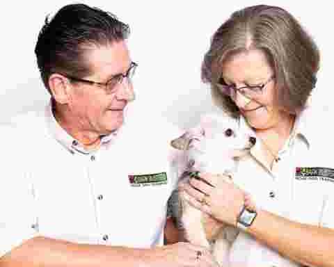 why-choose-a-professional-dog-behaviourist-edmonton