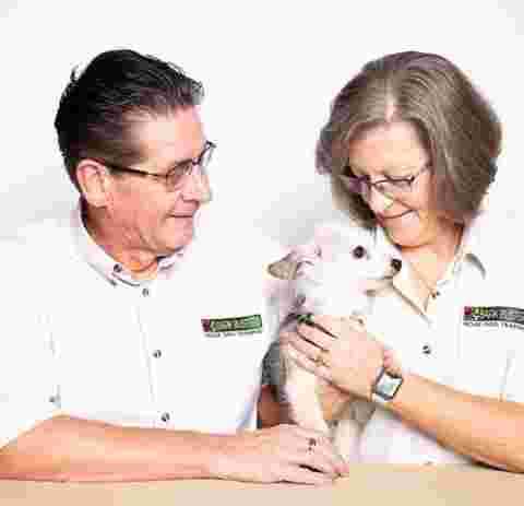 why-choose-a-professional-dog-behaviourist-edmonton-big-0