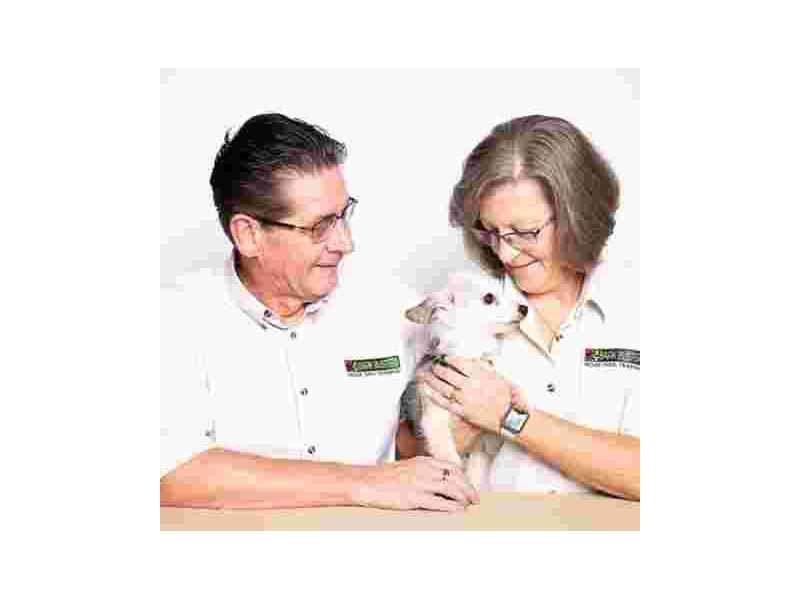 why-choose-a-professional-dog-behaviourist-edmonton-small-0