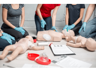 bls-class-brampton-professional-cpr-life-support-training-small-0