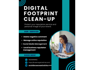 online-reputation-and-footprint-cleanup-montreal-small-0