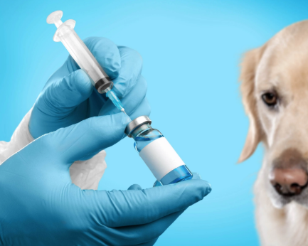 intercity-animal-emergency-clinic-emergency-pet-care
