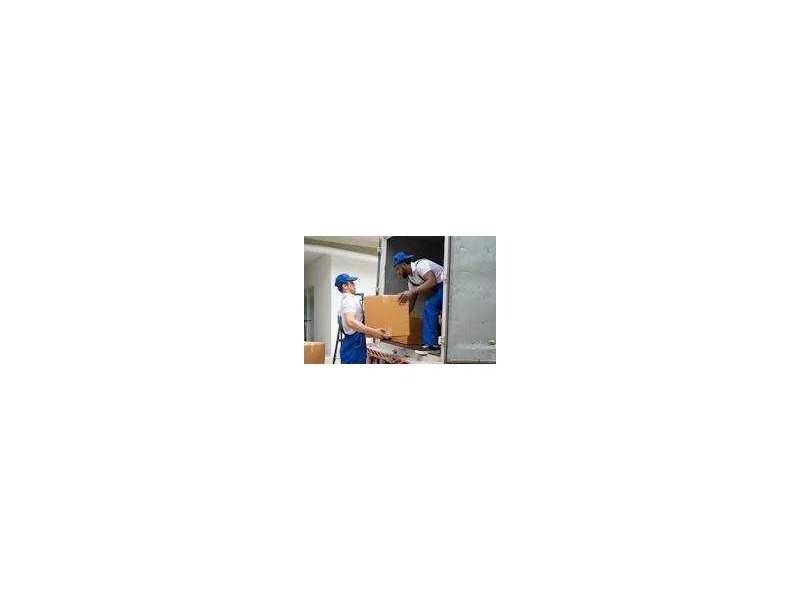 professional-office-movers-toronto-for-smooth-business-relocations-small-0