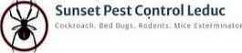 safe-mice-removal-leduc-services-big-0
